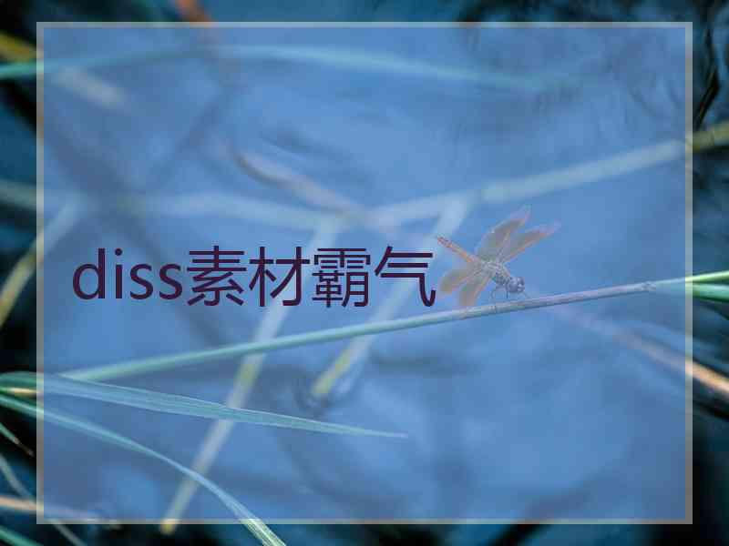 diss素材霸气