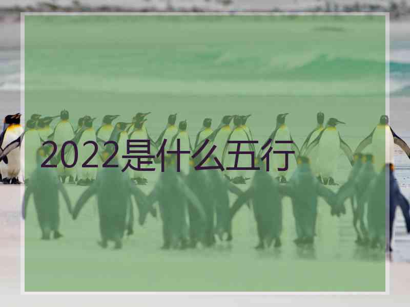 2022是什么五行