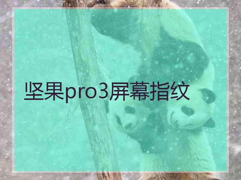 坚果pro3屏幕指纹