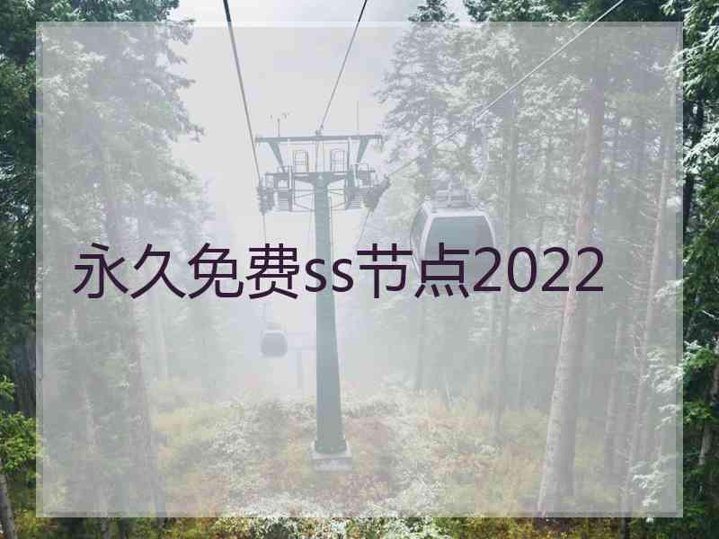 永久免费ss节点2022