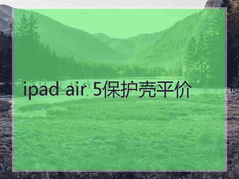 ipad air 5保护壳平价