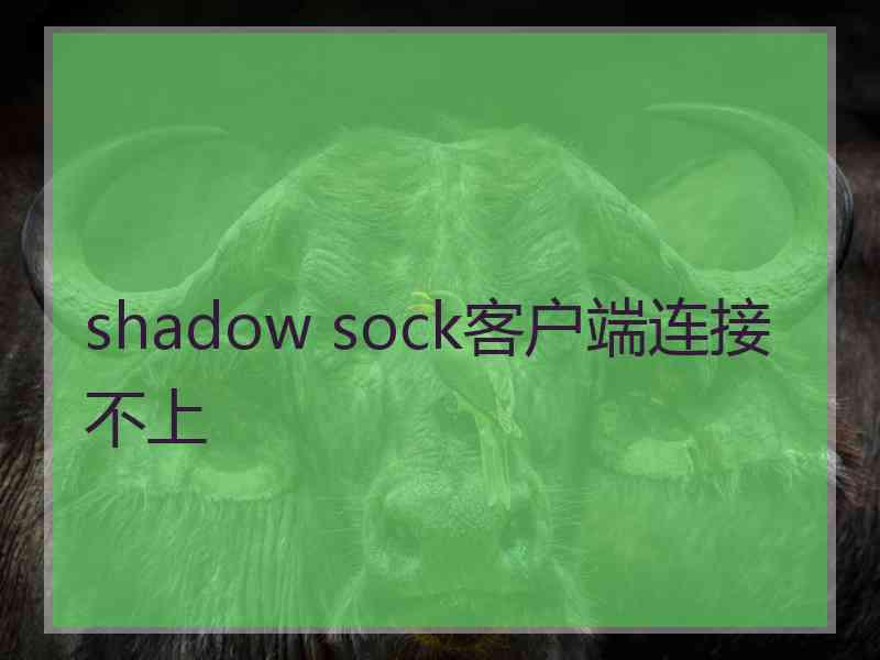 shadow sock客户端连接不上