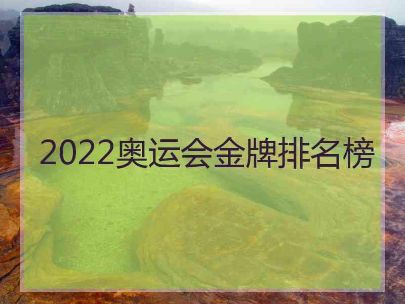 2022奥运会金牌排名榜