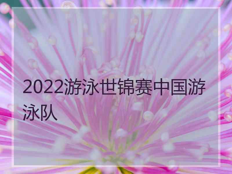 2022游泳世锦赛中国游泳队