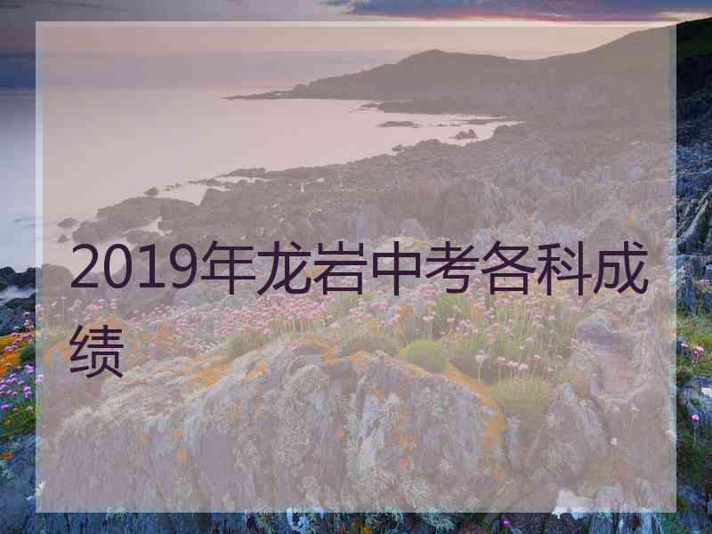 2019年龙岩中考各科成绩