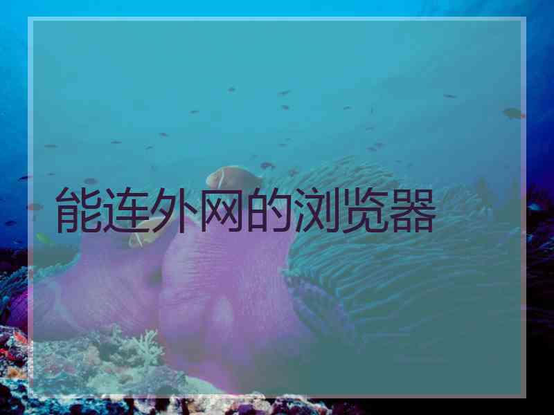 能连外网的浏览器