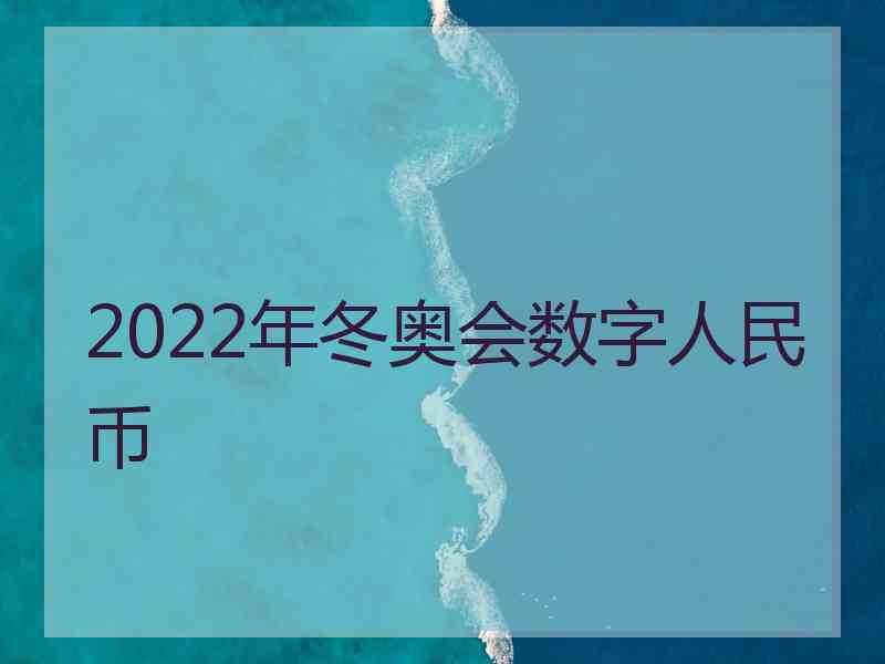 2022年冬奥会数字人民币