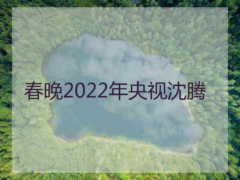 春晚2022年央视沈腾