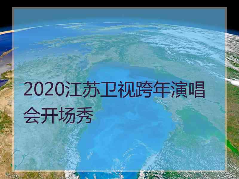 2020江苏卫视跨年演唱会开场秀