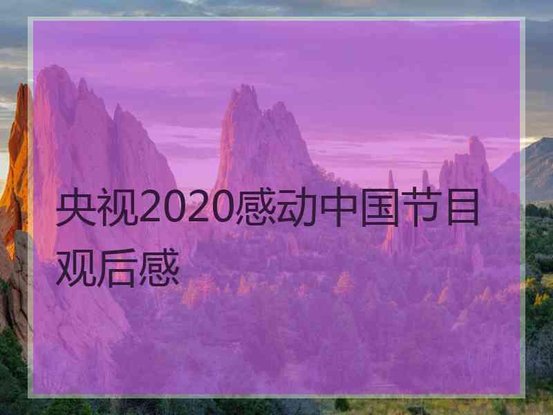 央视2020感动中国节目观后感