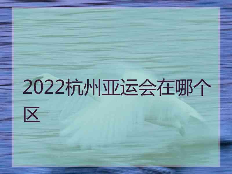 2022杭州亚运会在哪个区