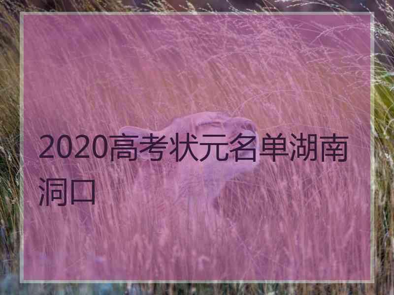 2020高考状元名单湖南洞口