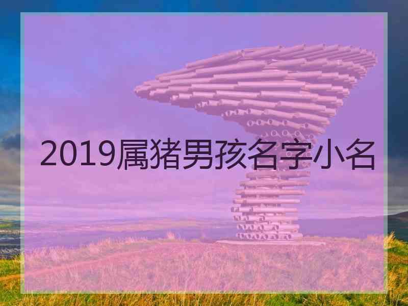 2019属猪男孩名字小名