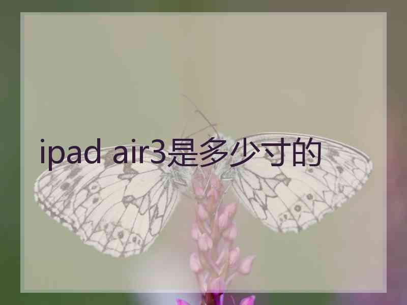 ipad air3是多少寸的