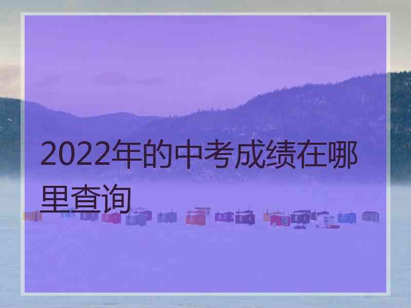 2022年的中考成绩在哪里查询