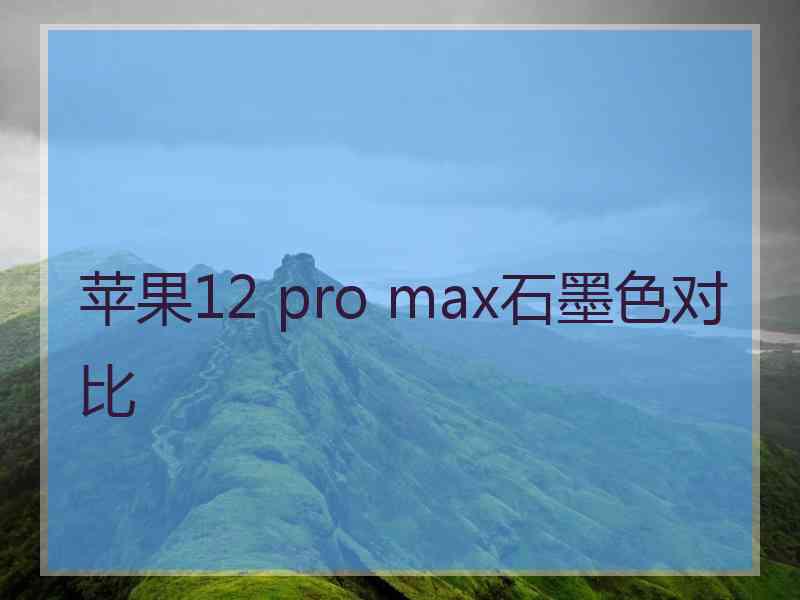 苹果12 pro max石墨色对比