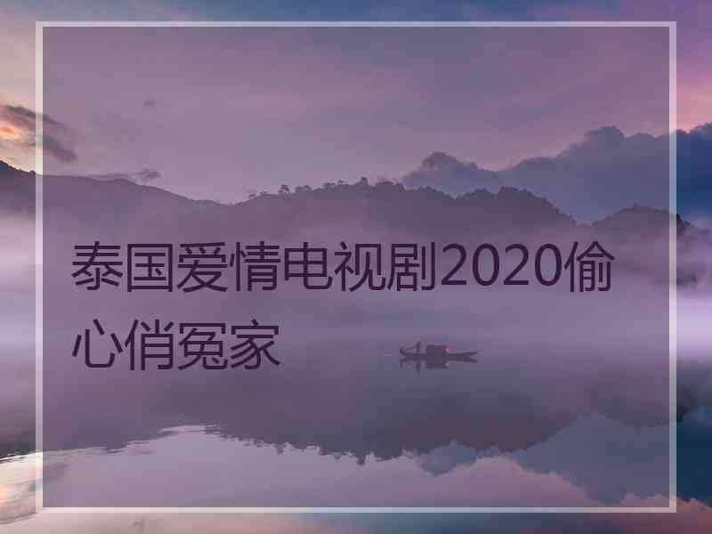 泰国爱情电视剧2020偷心俏冤家