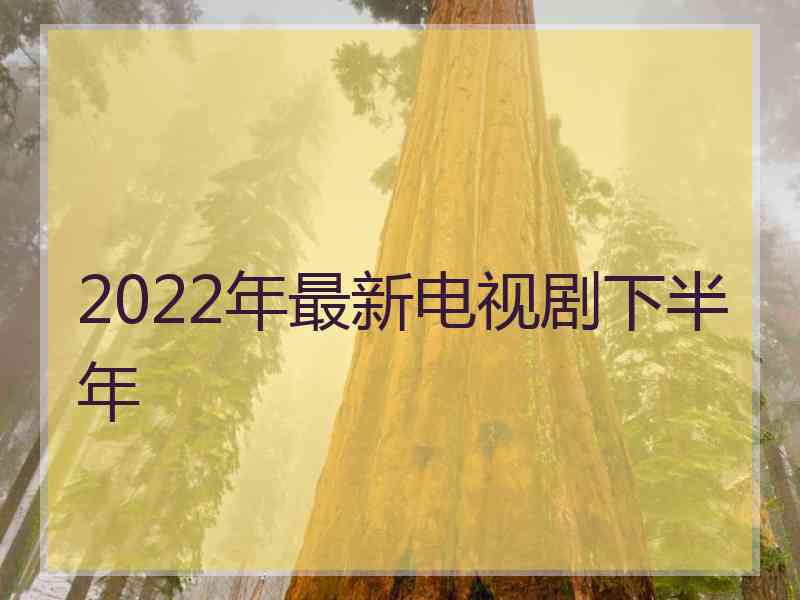 2022年最新电视剧下半年