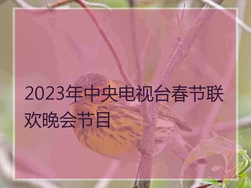 2023年中央电视台春节联欢晚会节目