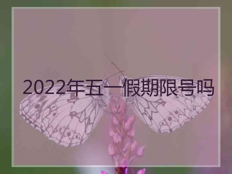 2022年五一假期限号吗