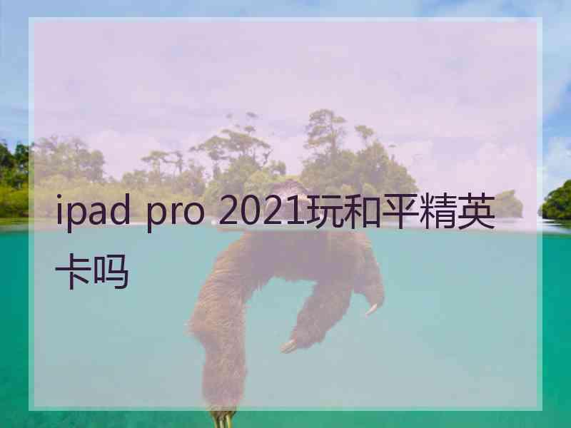 ipad pro 2021玩和平精英卡吗