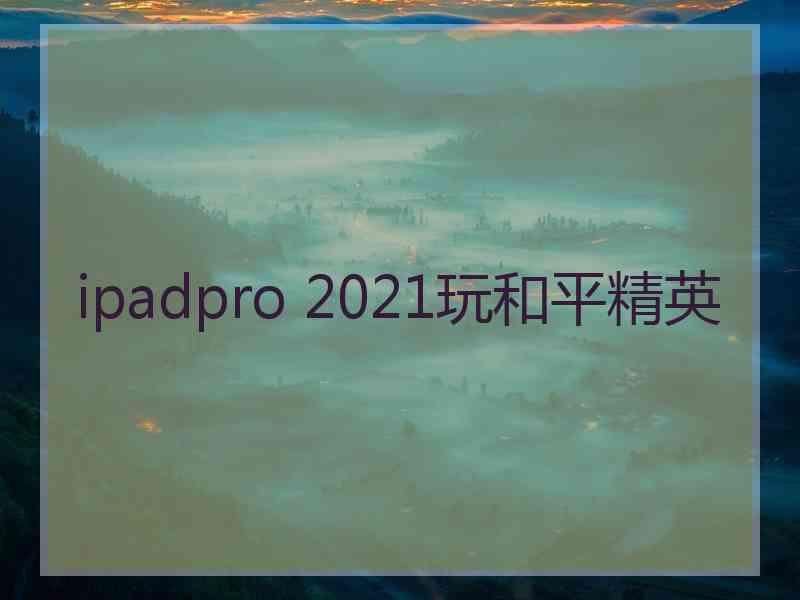 ipadpro 2021玩和平精英