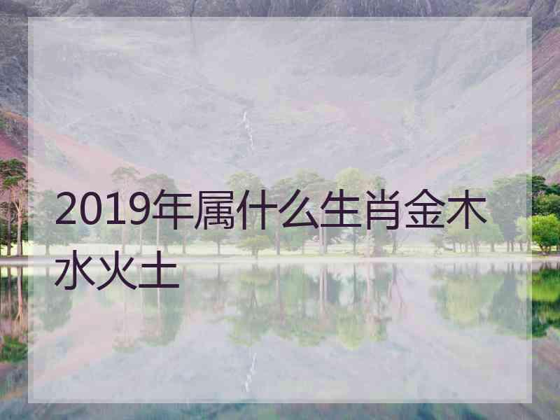 2019年属什么生肖金木水火土