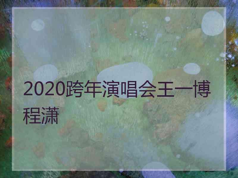 2020跨年演唱会王一博程潇