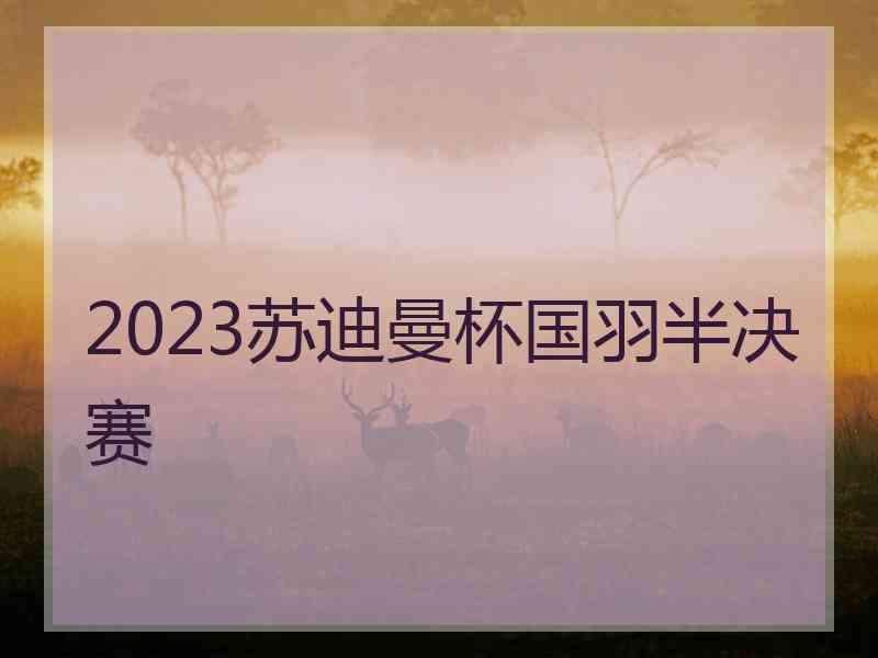 2023苏迪曼杯国羽半决赛