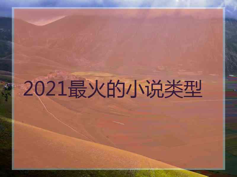 2021最火的小说类型