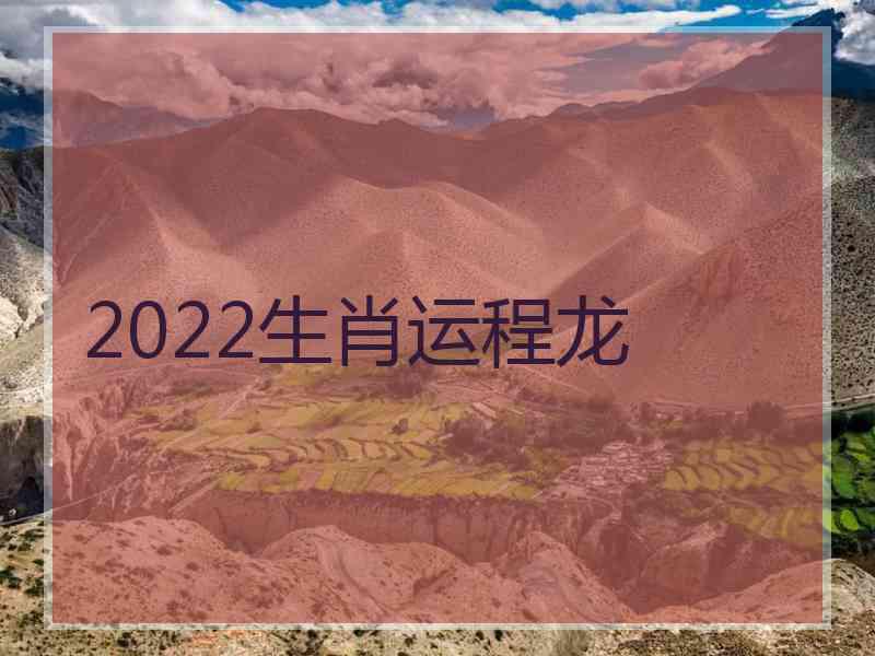 2022生肖运程龙