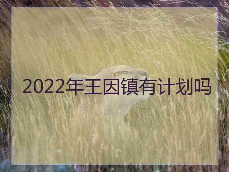 2022年王因镇有计划吗