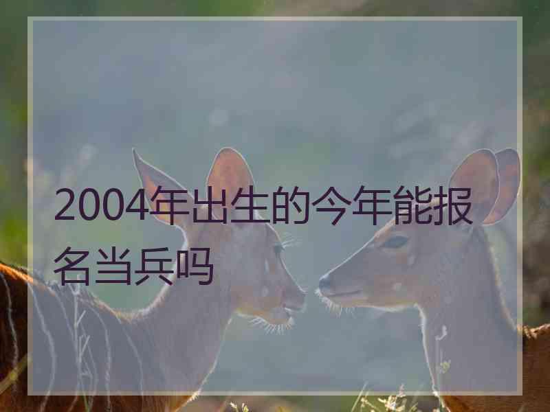 2004年出生的今年能报名当兵吗