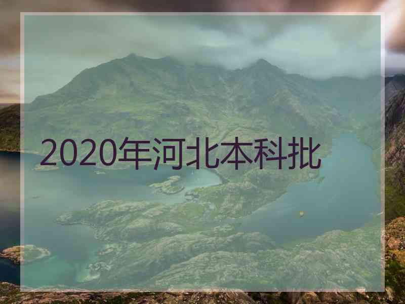 2020年河北本科批