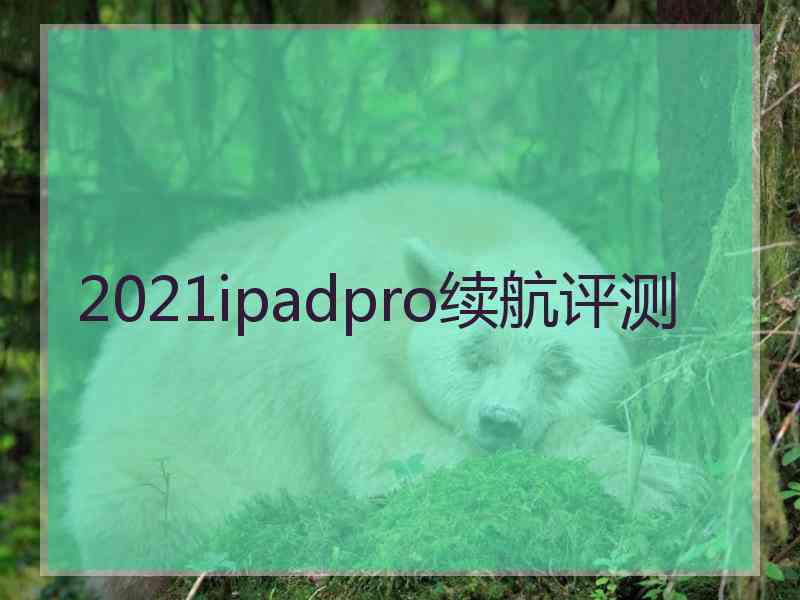 2021ipadpro续航评测