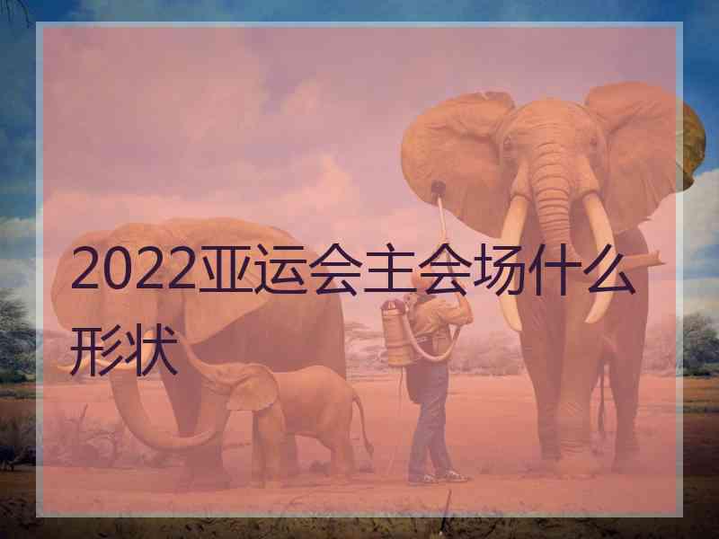 2022亚运会主会场什么形状