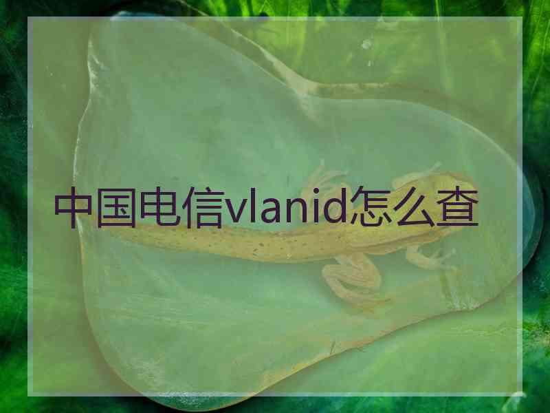 中国电信vlanid怎么查