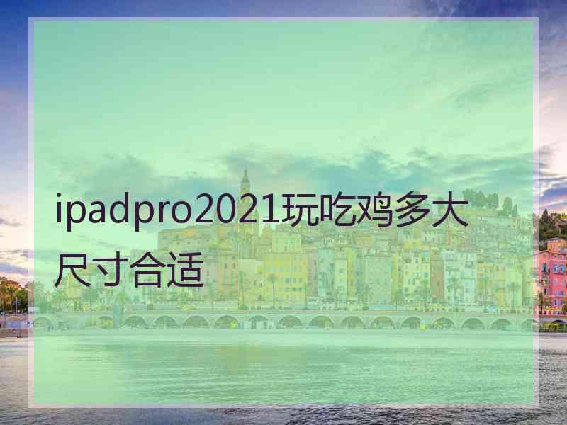 ipadpro2021玩吃鸡多大尺寸合适