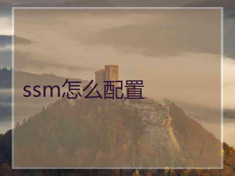 ssm怎么配置