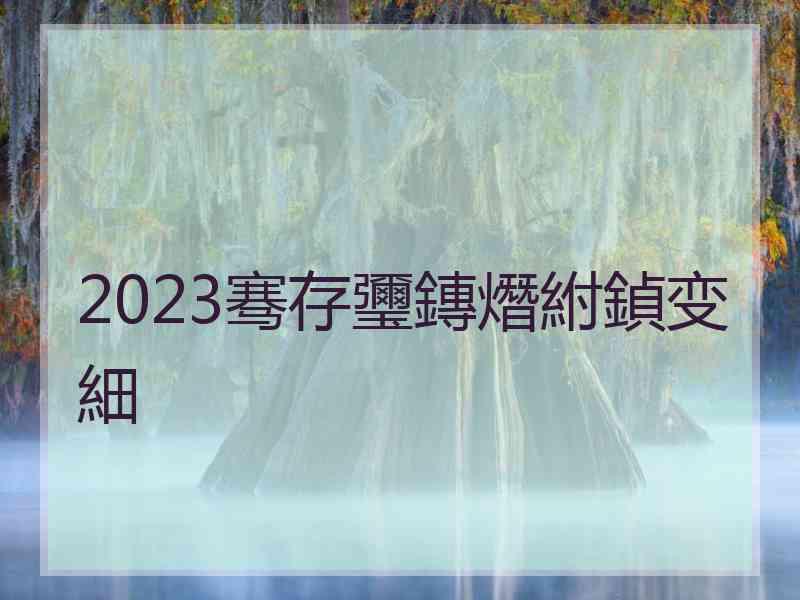 2023骞存瓕鏄熸紨鍞变細