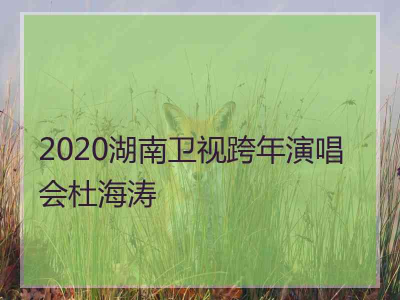 2020湖南卫视跨年演唱会杜海涛