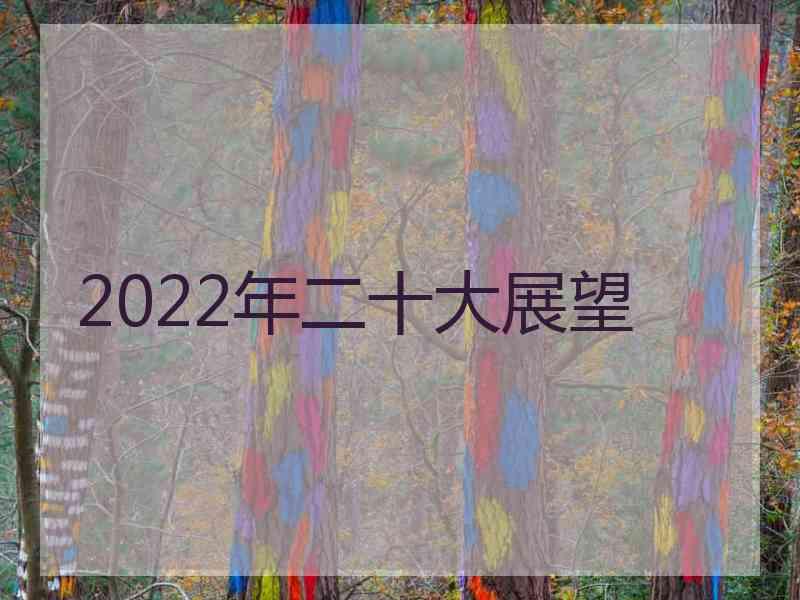 2022年二十大展望