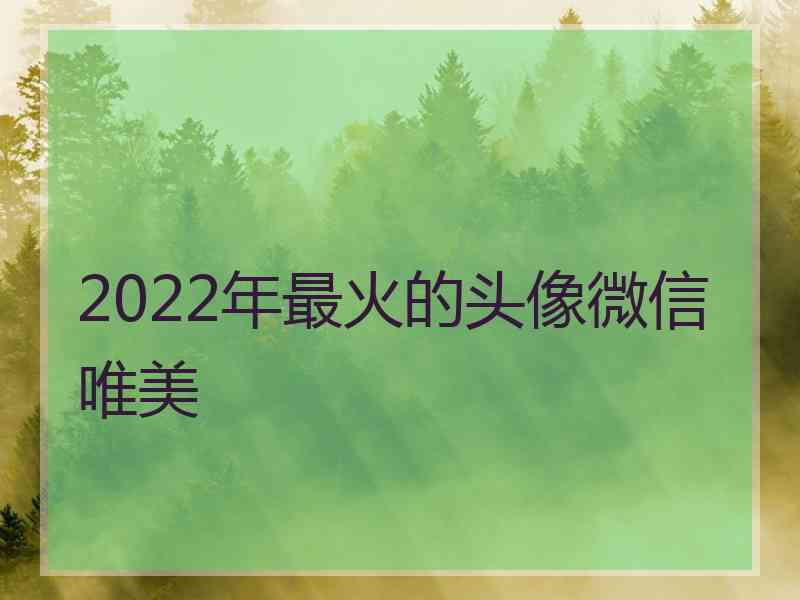 2022年最火的头像微信唯美