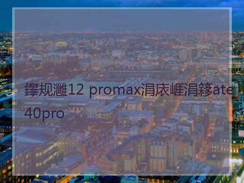 鑻规灉12 promax涓庡崕涓簃ate40pro