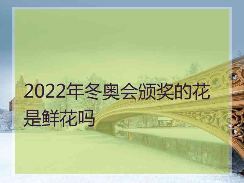 2022年冬奥会颁奖的花是鲜花吗