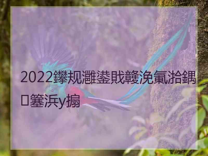 2022鑻规灉鍙戝竷浼氭湁鍝簺浜у搧