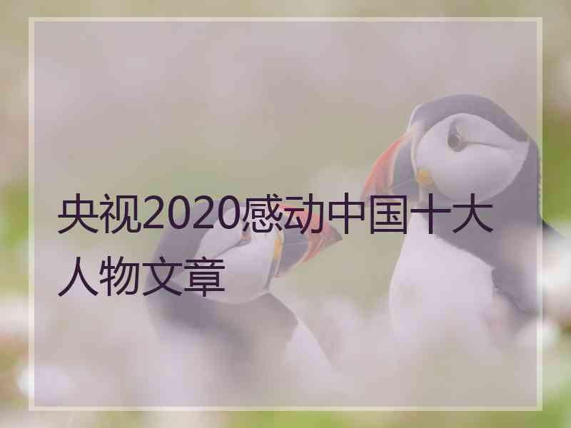 央视2020感动中国十大人物文章