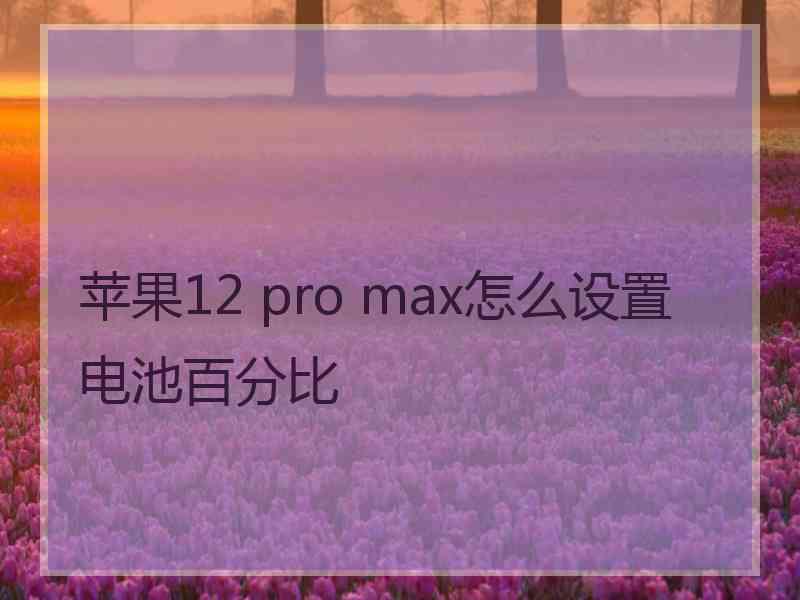 苹果12 pro max怎么设置电池百分比