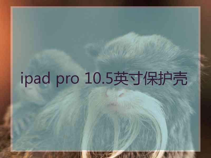 ipad pro 10.5英寸保护壳