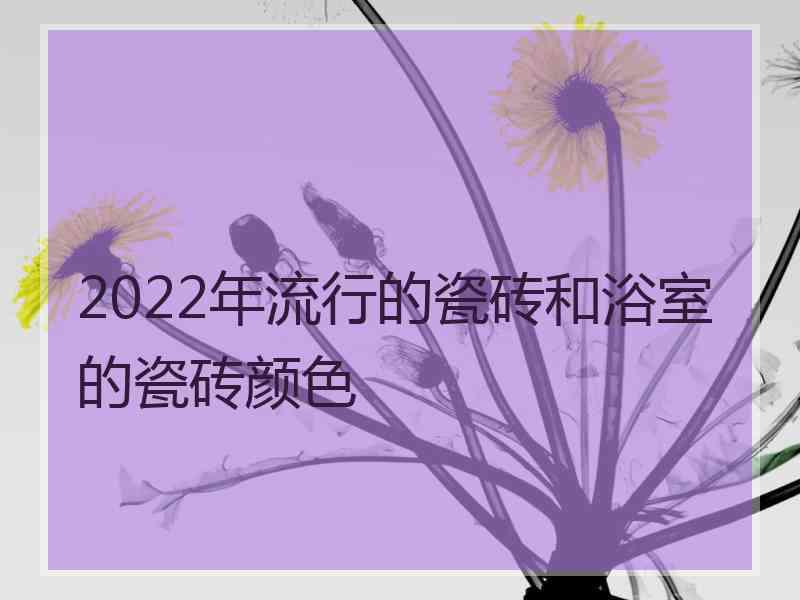 2022年流行的瓷砖和浴室的瓷砖颜色